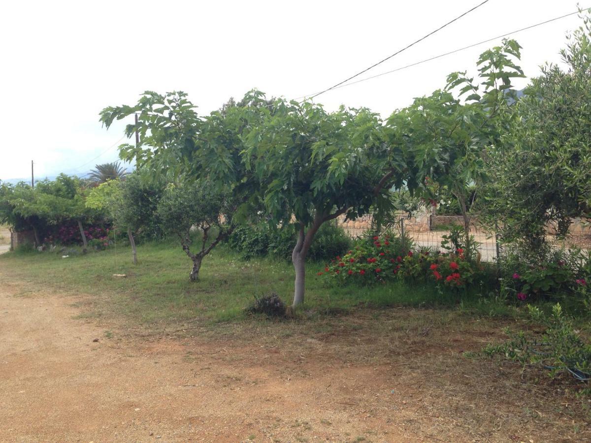 Kioni Villas Frangocastelo Bagian luar foto